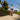 Person walking in a park with trees and plants in the background.